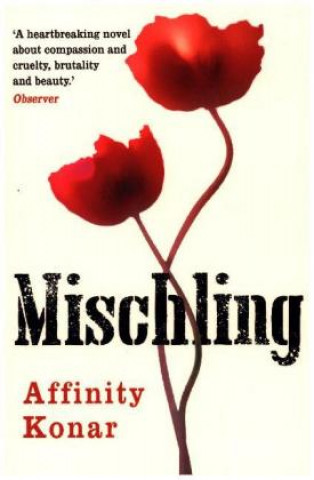 Kniha Mischling Affinity Konar