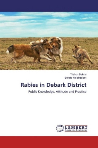 Könyv Rabies in Debark District Tilahun Bekele