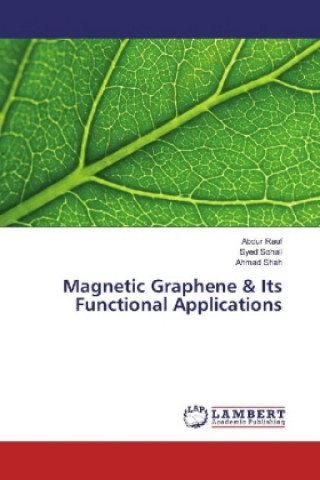 Knjiga Magnetic Graphene & Its Functional Applications Abdur Rauf