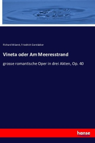 Kniha Vineta oder Am Meeresstrand Richard Wüerst