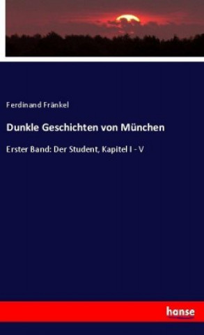 Buch Dunkle Geschichten von Munchen Ferdinand Fränkel