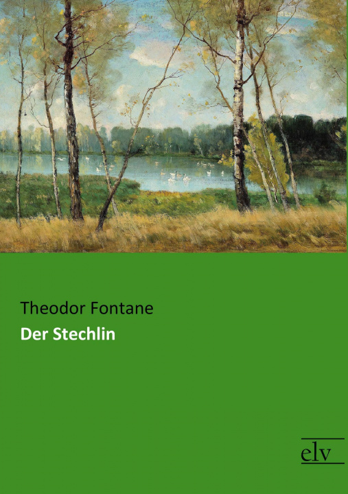 Buch Der Stechlin Theodor Fontane