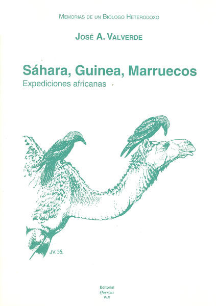 Kniha Sahara, Guinea, Marruecos : expediciones africanas José A. Valverde