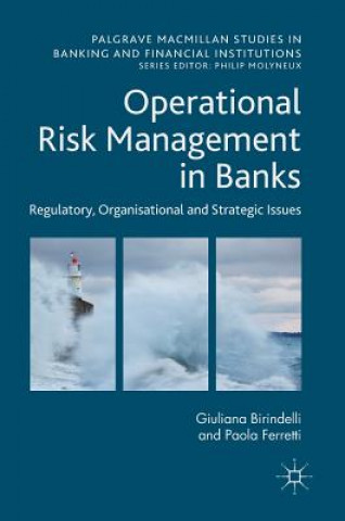 Buch Operational Risk Management in Banks Paola Ferretti