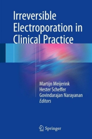 Książka Irreversible Electroporation in Clinical Practice Martijn Meijerink