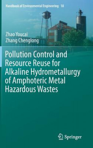Książka Pollution Control and Resource Reuse for Alkaline Hydrometallurgy of Amphoteric Metal Hazardous Wastes Youcai Zhao
