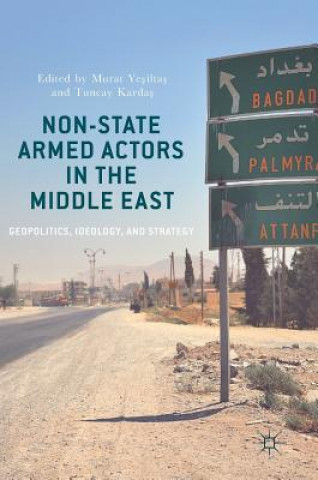 Kniha Non-State Armed Actors in the Middle East Murat Yesiltas