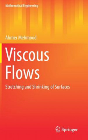 Knjiga Viscous Flows Ahmer Mehmood