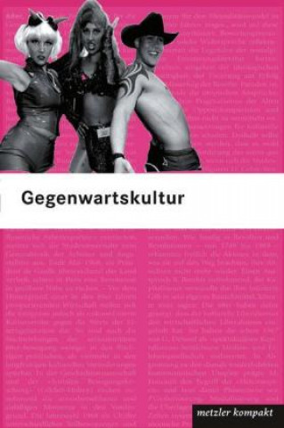 Livre Gegenwartskultur Ralf Schnell