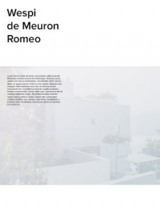 Könyv Wespi de Meuron Romeo Wespi de Meuron Romeo (Architects)