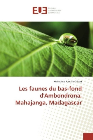 Kniha Les faunes du bas-fond d'Ambondrona, Mahajanga, Madagascar Heriniaina Ramahefarison