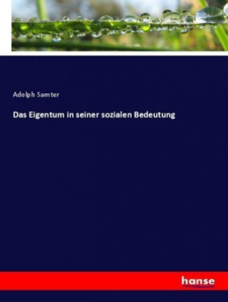 Kniha Das Eigentum in seiner sozialen Bedeutung Adolph Samter