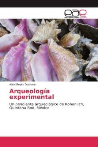 Book Arqueología experimental Alicia Reyes Espinosa