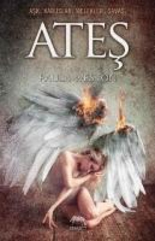 Buch Ates Paula Weston