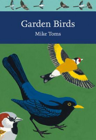 Knjiga Garden Birds Mike Toms