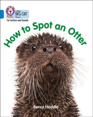 Book How to Spot an Otter Becca Heddle