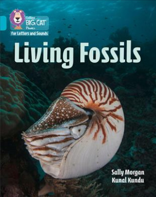 Kniha Living Fossils Sally Morgan