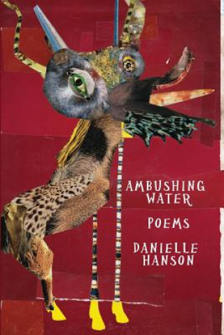 Βιβλίο Ambushing Water DANIELLE HANSON