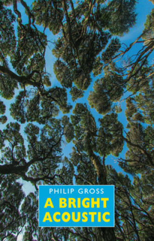 Kniha Bright Acoustic Philip Gross
