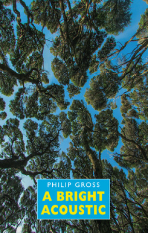 Book Bright Acoustic Philip Gross