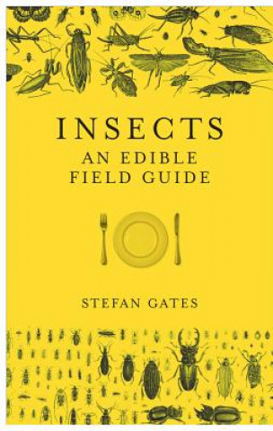 Kniha Insects Stefan Gates