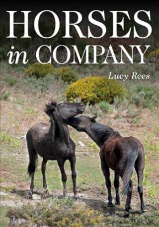 Kniha Horses in Company Lucy Rees