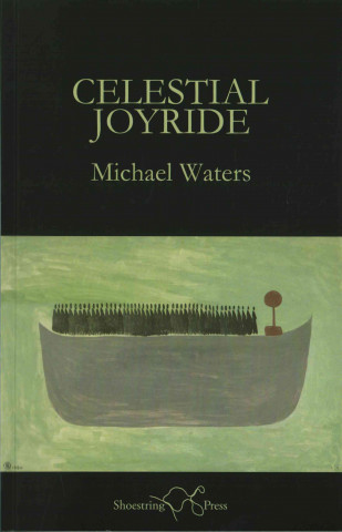 Book Celestial Joyride Michael Waters