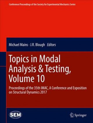 Książka Topics in Modal Analysis & Testing, Volume 10 Michael Mains