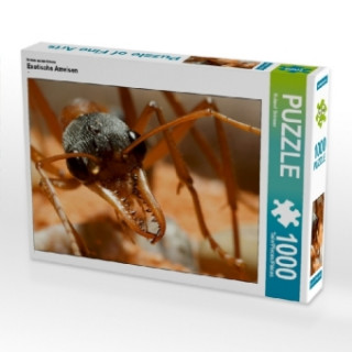 Joc / Jucărie Ein Motiv aus dem Kalender Exotische Ameisen (Puzzle) Roland Störmer