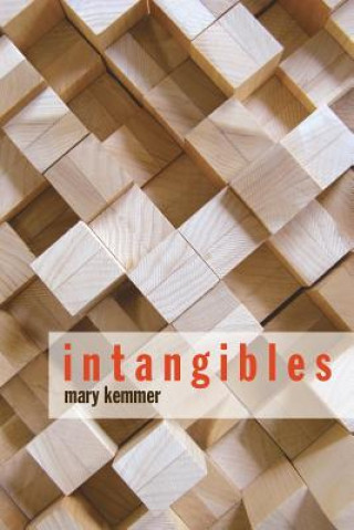 Knjiga Intangibles Mary K Kemmer