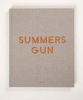 Könyv Daniel Hesidence: Summers Gun Jason Fox
