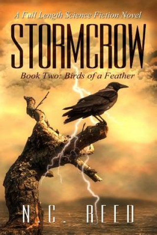 Kniha Stormcrow N. C. Reed