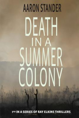 Könyv Death in a Summer Colony Aaron Stander
