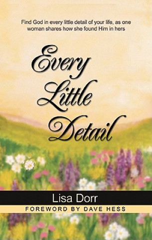 Kniha EVERY LITTLE DETAIL Lisa Dorr