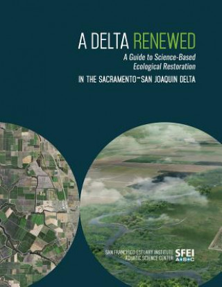 Książka A Delta Renewed Julie Beagle