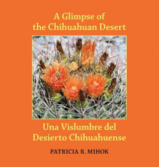 Carte A Glimpse of the Chihuahuan Desert/Una Vislumbre del Desierto Chihuahuense Patricia R Mihok