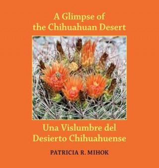 Libro A Glimpse of the Chihuahuan Desert/Una Vislumbre del Desierto Chihuahuense Patricia R Mihok