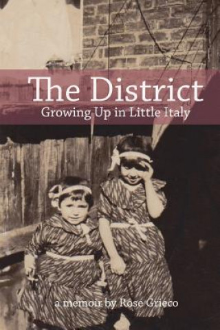 Книга The District Rose Grieco