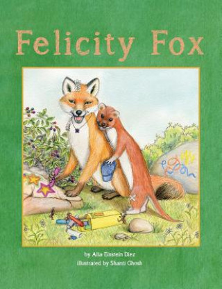 Buch Felicity Fox Alia Einstein