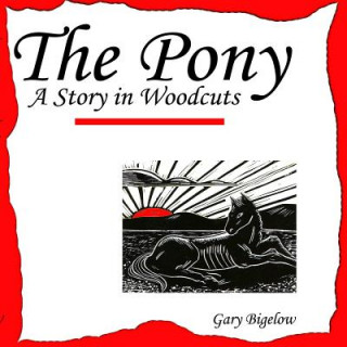 Buch Pony Gary Bigelow