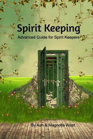 Książka Advanced Spirit Keeping Book Ash