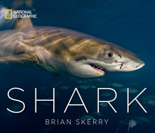 Kniha Shark Brian Skerry