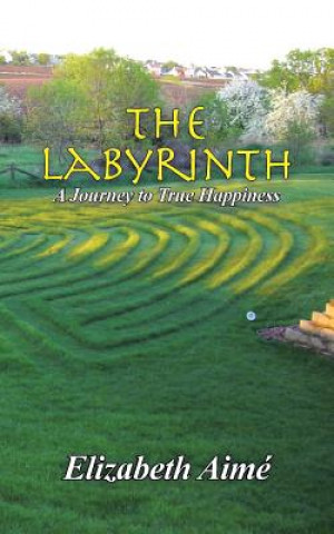 Knjiga Labyrinth Elizabeth Aime