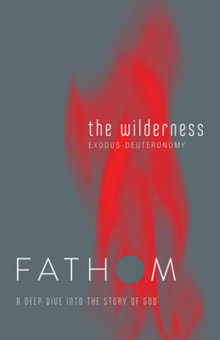 Kniha Fathom Bible Studies: The Wilderness Student Journal Rose Taylor