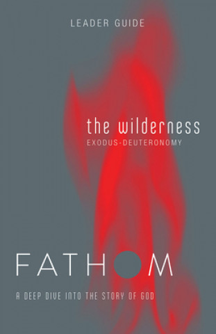 Kniha Fathom Bible Studies: The Wilderness Leader Guide Rose Taylor