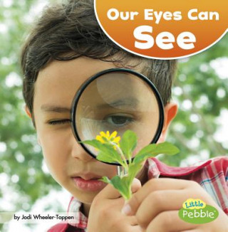 Kniha Our Eyes Can See Jodi Lyn Wheeler-Toppen