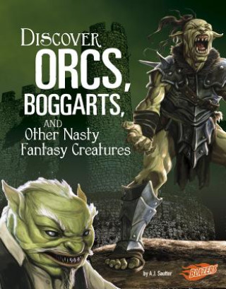 Könyv Discover Orcs, Boggarts, and Other Nasty Fantasy Creatures A. J. Sautter