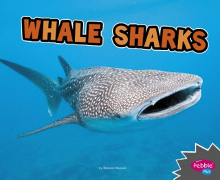 Buch Whale Sharks Deborah Nuzzolo