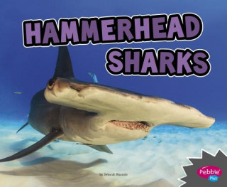 Książka Hammerhead Sharks Deborah Nuzzolo