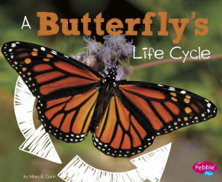 Kniha A Butterfly's Life Cycle Mary R. Dunn